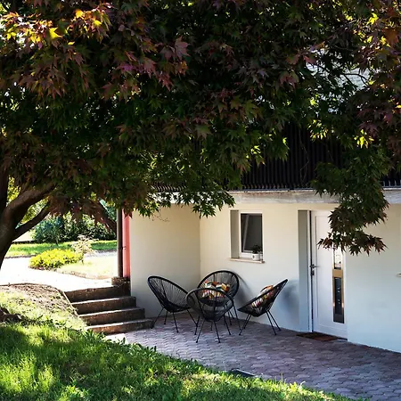 Apartment Mojca's Nest Menges