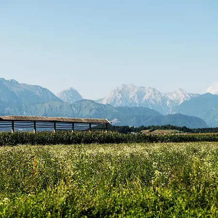 Mojca's Nest * Mengeš