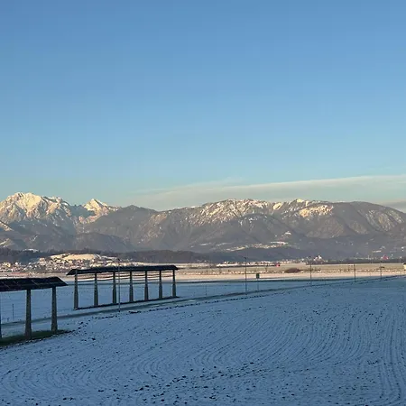 Mojca's Nest Apartment *