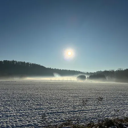 Apartment Mojca's Nest Mengeš