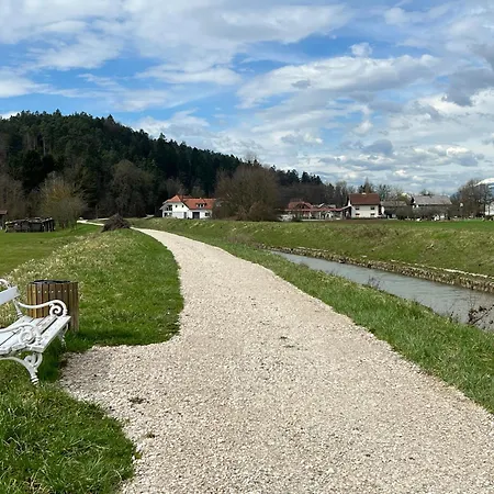 Mojca's Nest Apartment Mengeš