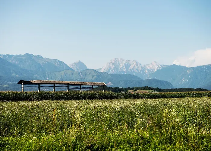 Mojca's Nest * Mengeš