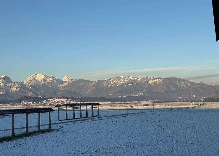 Mojca's Nest Apartment *